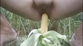 Anh theo dõi em gái  ...