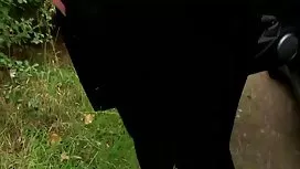 Một người trưởng thà ...