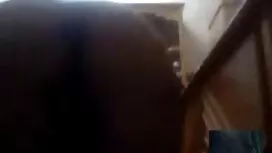 Đỏ của tôi phim sex  ...